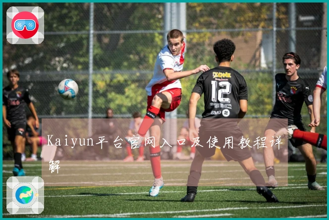 Kaiyun平台官网入口及使用教程详解