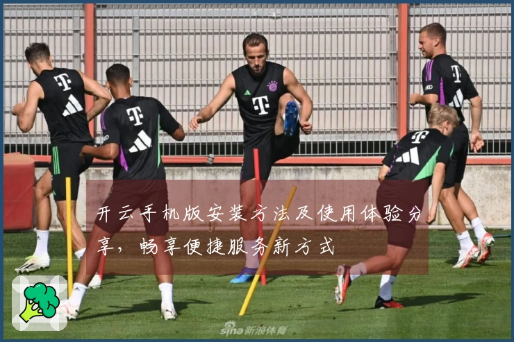 开云手机版安装方法及使用体验分享，畅享便捷服务新方式